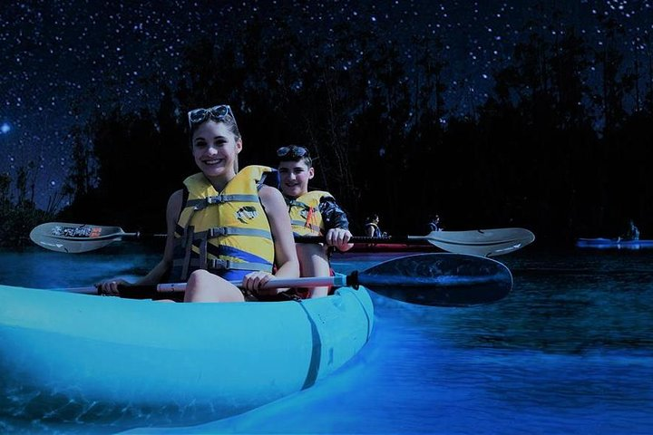 Bioluminescence Night Kayaking Tour of Merritt Island Wildlife Refuge - Photo 1 of 6